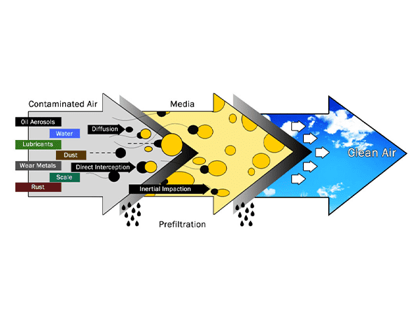 Lots of oil, water and particles are filtered out by compressed air line filter elements.